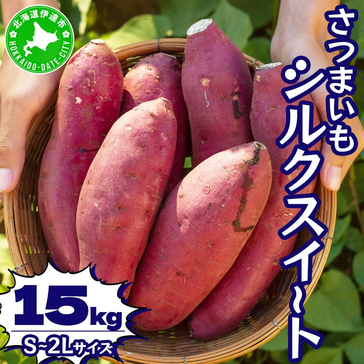 [5525-1153]北海道 伊達 さつまいも シルクスイート 15kg 熟成 高糖度 サツマイモ 芋 甘い スイートヤバ芋 産地直送