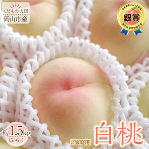 岡山市産 白桃 ご家庭用 約1.5kg 5~6玉 ＜2026年7月上旬～8月下旬頃出荷＞