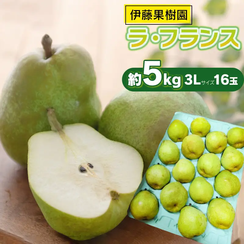 【令和8年産先行予約】ラ・フランス（洋梨） 3Lサイズ 約5kg (16玉)　伊藤果樹園