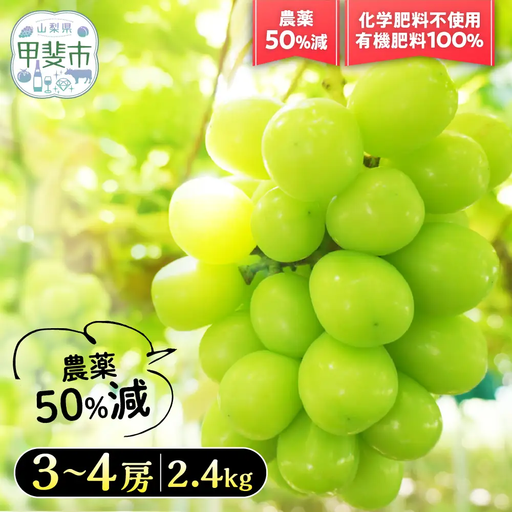 自然塾夏 シャインマスカット 約2.4㎏ 減農薬 フルーツ 
