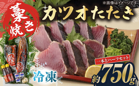 藁焼き　カツオのタタキ1節とハーフセット(冷凍)約750g 4.5から6人前【土佐黒潮水産】[ATCQ016]
