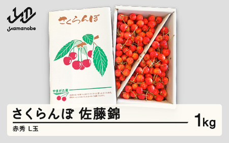 【先行予約】 さくらんぼ 佐藤錦 赤秀 L玉 1kg バラ詰 ご家庭用 2026年産 令和8年産 山形県産 mm-snalx1000