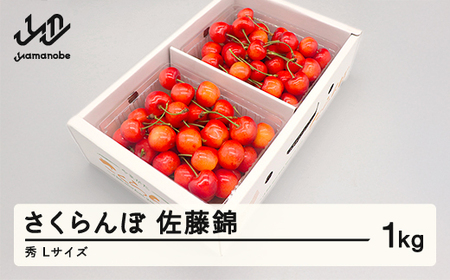先行予約 さくらんぼ 佐藤錦 秀品 500g×2パック L玉 2026年産 令和8年産 山形県産 mm-snpsx1000