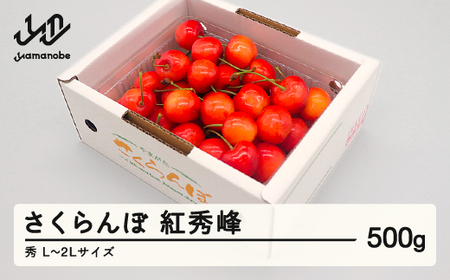 先行予約 さくらんぼ 紅秀峰 秀品 L-2L玉 500g バラ詰 2026年産 令和8年産 山形県産 mm-bsbax500