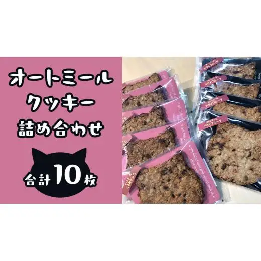 オートミールクッキー 2種 10枚 詰め合わせ