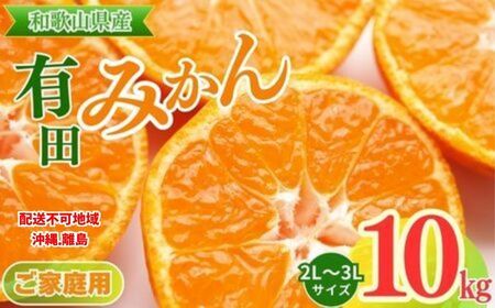 【先行予約】【ご家庭用】和歌山有田みかん約10kg(2L、3Lサイズ)〇  ｜ みかん
