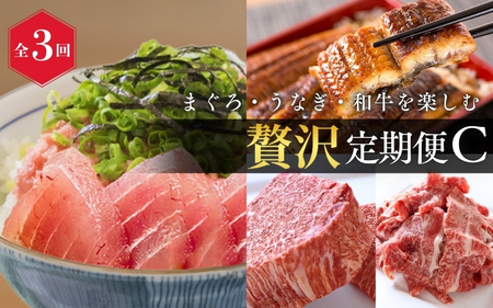 【定期便 全3回】紀州和歌山うまいもんセットC（生まぐろ・うなぎ蒲焼・熊野牛）【UT127】【Z91167-tkb388】