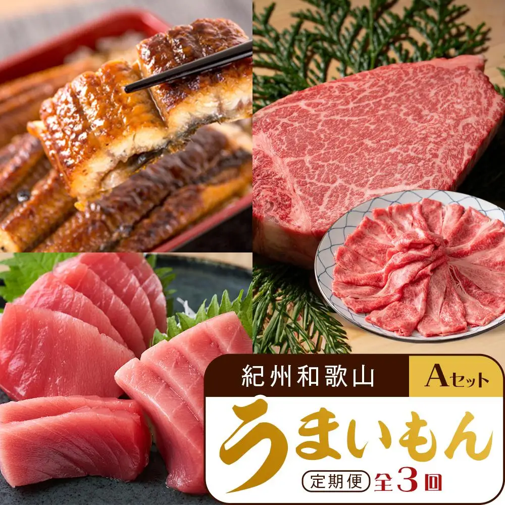【定期便 全3回】紀州和歌山うまいもんセットA（生まぐろ・うなぎ蒲焼・熊野牛）【UT125】