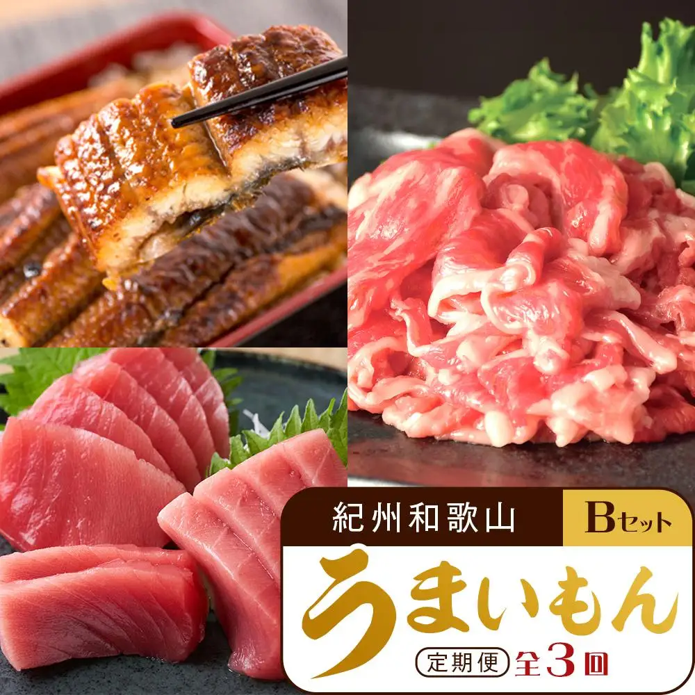 【定期便 全3回】紀州和歌山うまいもんセットB（生まぐろ・うなぎ蒲焼・熊野牛）【UT126】