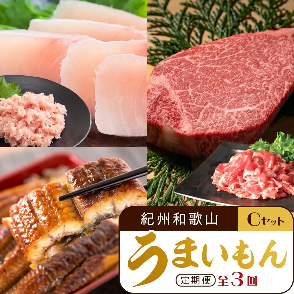 【定期便 全3回】紀州和歌山うまいもんセットC（生まぐろ・うなぎ蒲焼・熊野牛）【UT127】