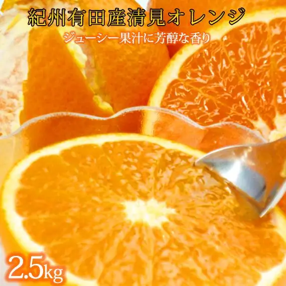 とにかくジューシー清見オレンジ 約2.5kg［2027年3月下旬以降発送］［先行予約］［UT131］