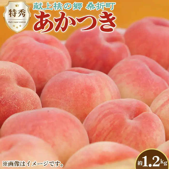 もも【あかつき・2026年産】特秀1.2kg「献上桃の郷ブランド品」桑折町産　JAふくしま未来　桃 ／ もも モモ 果物 フルーツ 旬 甘い 甘み ジューシー 果肉 果汁 新鮮 フレッシュ デザート おいしい 産地直送 桑折 こおり こおりまち 福島県 特産品 No.224
