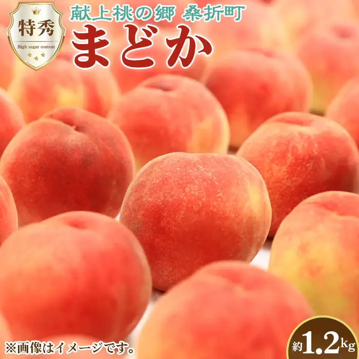 もも【まどか・2026年産】特秀1.2kg　桑折町産　JAふくしま未来　桃 ／ もも モモ 果物 フルーツ 旬 甘い 甘み ジューシー 果肉 果汁 新鮮 フレッシュ デザート おいしい 産地直送 桑折 こおり こおりまち 福島県 特産品 No.225