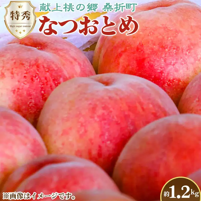 もも【なつおとめ・2026年産】特秀1.2kg　桑折町産　JAふくしま未来　桃 ／ もも モモ 果物 フルーツ 旬 甘い 甘み ジューシー 果肉 果汁 新鮮 フレッシュ デザート おいしい 産地直送 桑折 こおり こおりまち 福島県 特産品 No.226