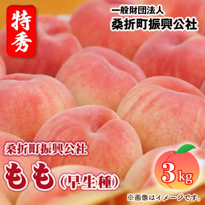 もも【早生種・2026年産】特秀3kg（10～12玉）桑折町振興公社 ／ もも モモ 果物 フルーツ 旬 甘い 甘み ジューシー 果肉 果汁 新鮮 フレッシュ デザート おいしい 産地直送 桑折 こおり こおりまち 福島県 特産品 No.231