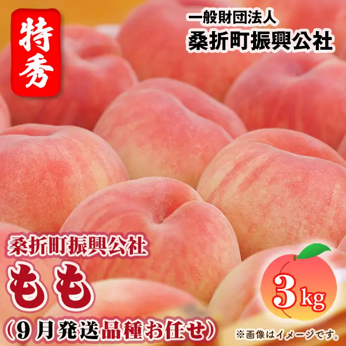 もも【2026年産9月発送／品種おまかせ】特秀3kg（8～11玉）桑折町振興公社 ／ もも モモ 果物 フルーツ 旬 甘い 甘み ジューシー 果肉 果汁 新鮮 フレッシュ デザート おいしい 産地直送 桑折 こおり こおりまち 福島県 特産品 No.234