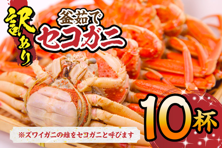 【訳あり】 釜茹で セコガニ 約120g×10匹 かに カニ 蟹  07-117
