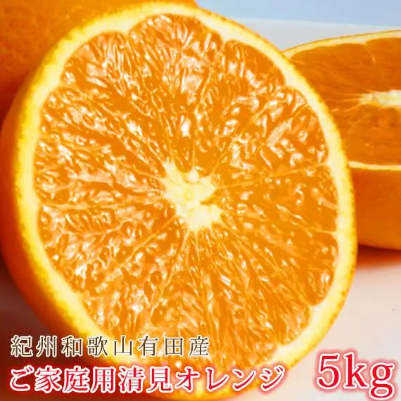 ［ご家庭用訳あり］紀州有田産清見オレンジ 約5kg［2027年3月下旬以降発送］［先行予約］［UT132w］