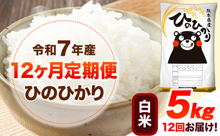 【12ヶ月定期便】米 白米 令和7年産 白米 ひのひかり 5kg