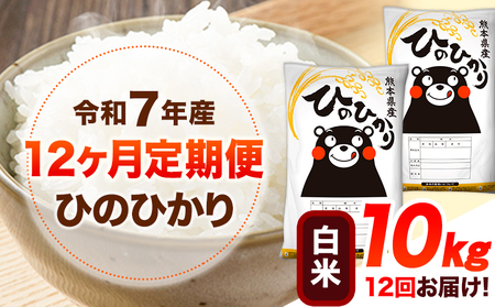【12ヶ月定期便】米 白米 令和7年産 白米 ひのひかり 10kg