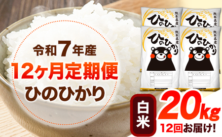 【12ヶ月定期便】米 白米 令和7年産 ひのひかり 20kg