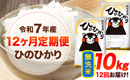 【12ヶ月定期便】令和7年産 ひのひかり 無洗米 10kg
