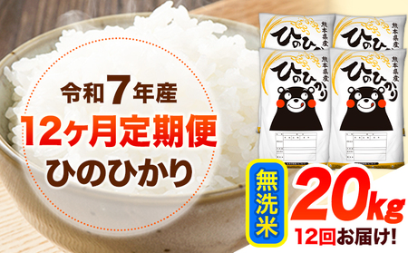 【12ヶ月定期便】令和7年産 無洗米 ひのひかり 20kg