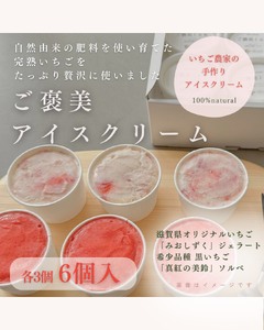 滋賀県愛荘町産　いちごを贅沢に使った濃厚いちごのご褒美ice　希少品種黒いちごの「真紅の美鈴ソルベ」滋賀県オリジナルいちごの「みおしずくジェラート」６個セット（各３個） BJ08