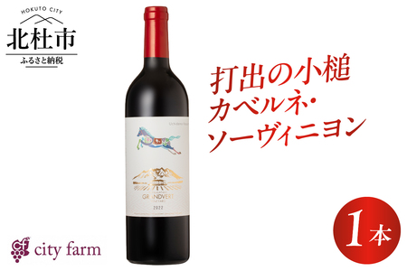 打出の小槌 カベルネ・ソーヴィニヨン 2022　1本　ワイン 赤ワイン カベルネ・ソーヴィニヨン 2022 750ml 1本 数量限定 赤 国産ワイン 山梨県産 白州産 北杜市産 完熟  黒系果実 オーク樽 樽香 タンニン 酸味 料理に合う 記念日 贈り物 プレゼント [h135]