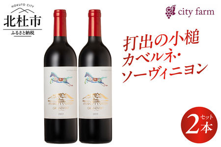 打出の小槌 カベルネ・ソーヴィニヨン 2022　2本　ワイン 赤ワイン カベルネ・ソーヴィニヨン 2022 750ml 2本 数量限定 赤 国産ワイン 山梨県産 白州産 北杜市産 完熟  黒系果実 オーク樽 樽香 タンニン 酸味 料理に合う 記念日 贈り物 プレゼント [h135]