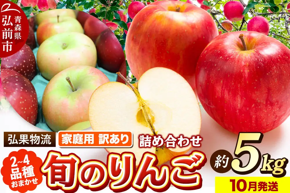 【26年10月発送】りんご 家庭用 訳あり 旬のりんご 品種おまかせ 約5kg 2品種～4品種