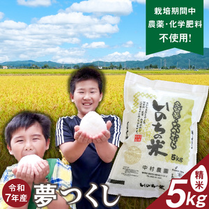 令和7年産夢つくし（精米）5kg中村農園いのちの米_令和7年産 夢つくし 5kg 精米 いのちの米 つややか 光沢 もちもち 食感 粘り 甘み 国産 米 白米 新米 ブランド米 ご飯 白飯 おにぎり おむすび 弁当 主食 食品 食べ物 グルメ お取り寄せ お取り寄せグルメ 福岡県 久留米市 送料無料 〔Gr059〕