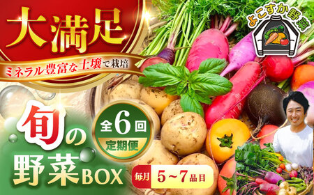【全６回定期便】すずなり採れたて野菜BOX　(5~7品）【鈴也ファーム】[AKCE012]