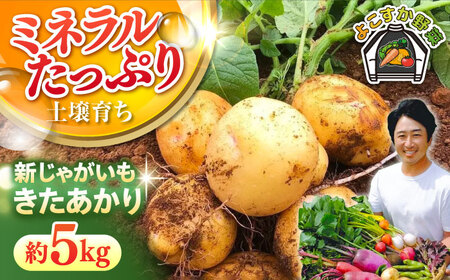 【先行予約】新じゃが きたあかり 約5kg 【鈴也ファーム】[AKCE021]