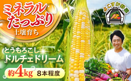 【先行予約】【数量限定100セット】とうもろこし　ドルチェドリーム　下処理済み　8本程度　約4kg（7月~8月）【鈴也ファーム】[AKCE026]