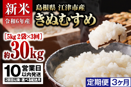 【定期便】R6産（新米）島根県 江津市産 邑智郡産 きぬむすめ10kg 3ヵ月定期便【FY-4】｜R6産 新米 白米 島根県 江津市産 お米 精米 こめ おこめ 米 定期便 3カ月 10キロ 美味しい｜