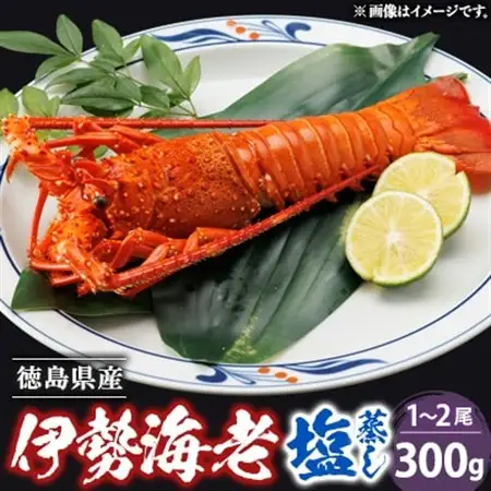 伊勢海老塩蒸し　300g_魚介・海産物 伊勢海老 エビ いせえび 伊勢エビ_【配送不可地域：離島】【1553457】