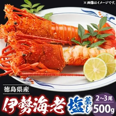 伊勢海老塩蒸し　500g_魚介・海産物 伊勢海老 エビ いせえび 伊勢エビ_【配送不可地域：離島】【1553459】