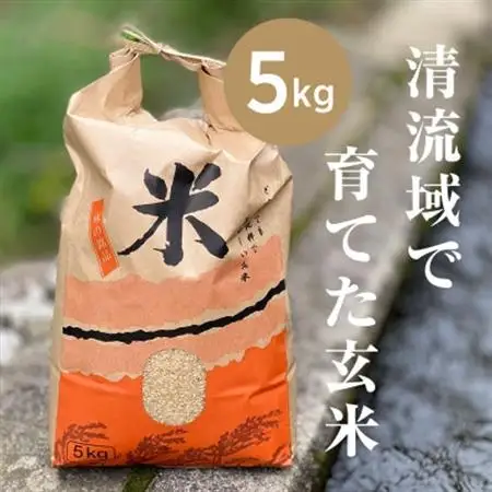【先行受付】山間の清流を引き込んだ田んぼで作った「きぬむすめ玄米」5kg(令和8年産)【1573255】