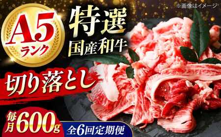 【全6回定期便】国産和牛切落し 600g[AOAI024] 牛肉切り落とし