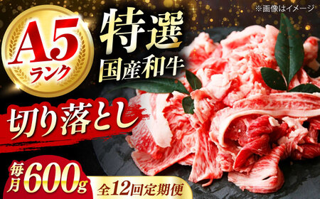 【全12回定期便】国産和牛切落し 600g[AOAI025] 牛肉切り落とし