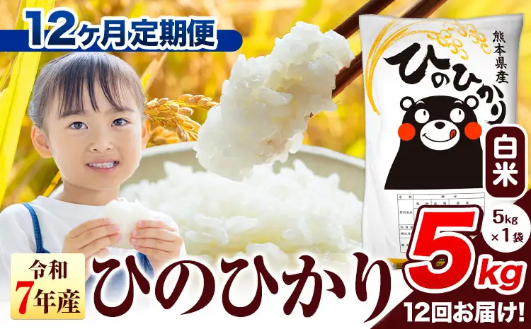 R7年産【12ヶ月定期便】ひのひかり 5kg 米 定期