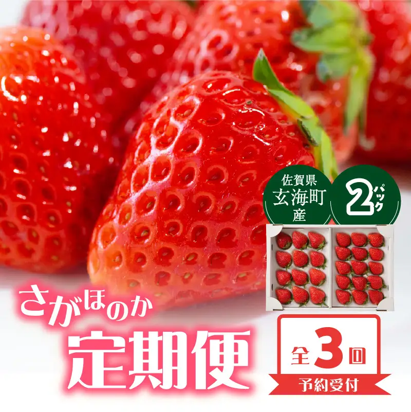 ★予約受付★ 佐賀県玄海町産「さがほのか」毎月定期便 ／ いちご 定期便【Z111】