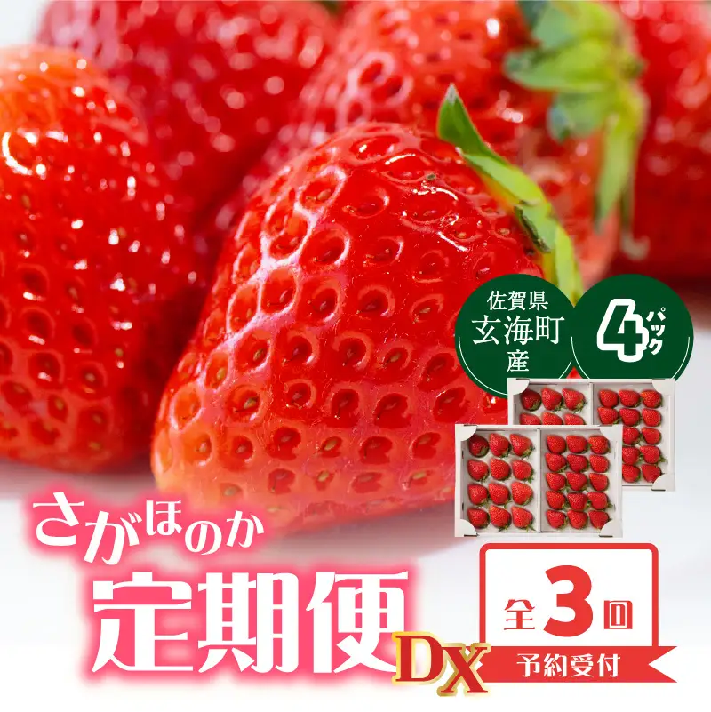 ★予約受付★ 佐賀県玄海町産「さがほのかDX」毎月定期便 ／ いちご 定期便【Z112】