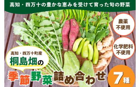【栽培期間中、農薬・化学肥料不使用】桐島畑の季節野菜詰め合わせ(7種類) Fkh-10 ／ やさい 国産野菜 四万十 高知 季節 フレッシュ 旬 無農薬 有機農業