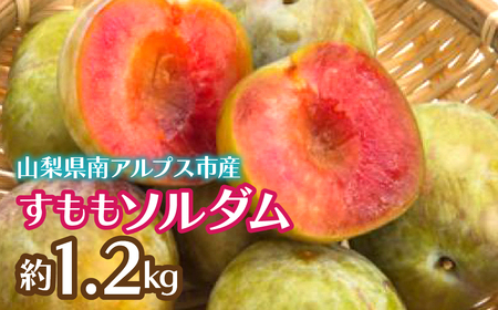 ＜2026年発送先行予約＞すももソルダム 約1.2kg ALPCZ003