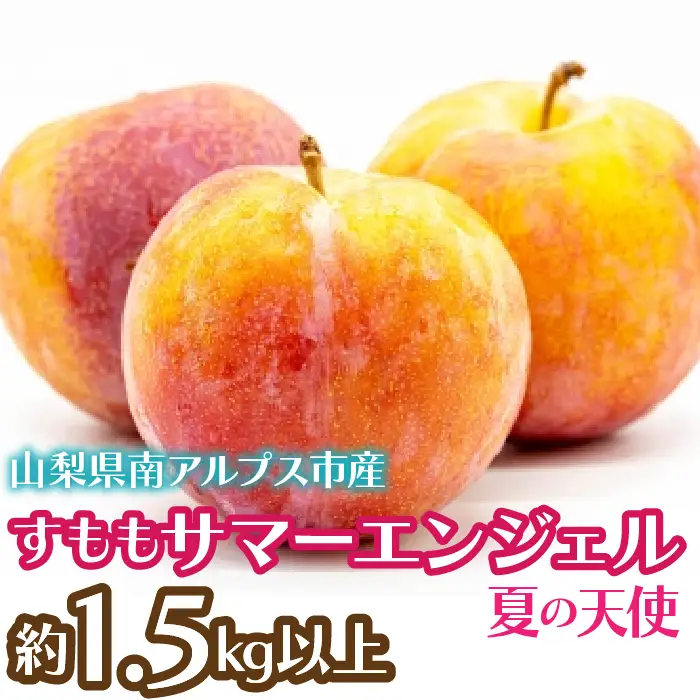 ＜2026年発送先行予約＞すもも サマーエンジェル「夏の天使」約1.5kg以上 ALPCZ010