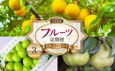 《2026年産先行受付》山形県 至高のフルーツ！ 山形県産 フルーツ定期便 全3回 FSY-2522