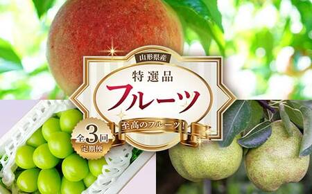 《2026年産先行受付》山形県 至高のフルーツ！ 山形県産 特選品フルーツ定期便 全3回 FSY-2523