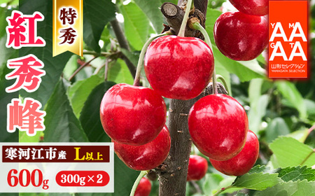 令和8年産 特秀品 さくらんぼ「 紅秀峰 」600g (300g×2パック) L以上 2026年産 山形県産 【2026年6月中旬頃～7月上旬頃発送予定】 ※配送不可 沖縄・離島 023-A-AF027